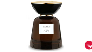 Ncaa tournament vallejos chance mcmillian excited to be back in bay area but will he play in sweet 16