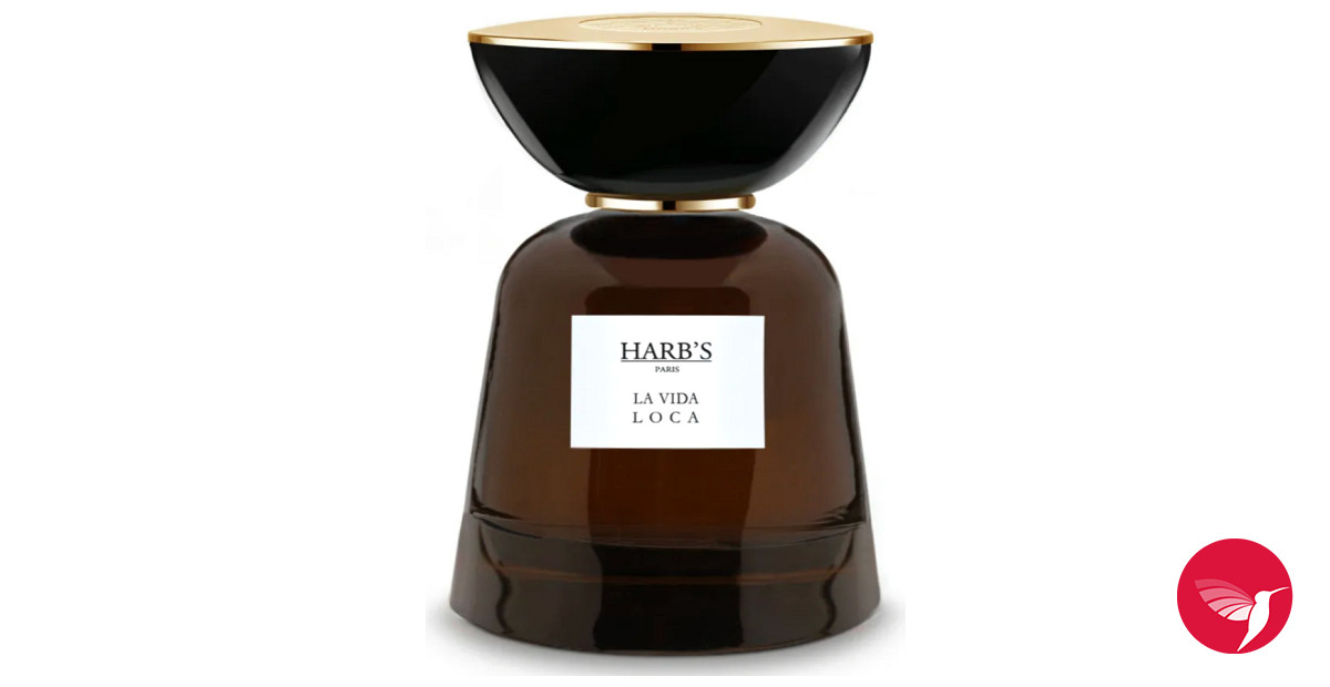 Ncaa tournament vallejos chance mcmillian excited to be back in bay area but will he play in sweet 16