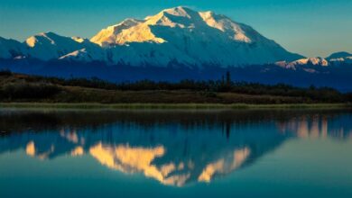 Trump denali name change mount mckinley