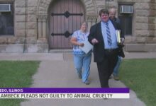 Women charged with animal cruelty in contra costa dog kicking case