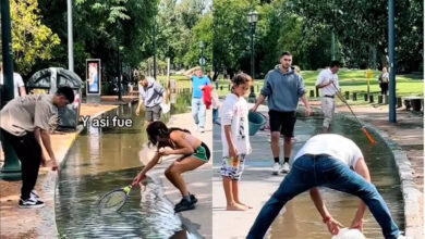 Fremont to spend 135000 on lake project following massive fish die off