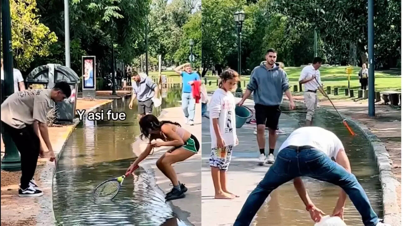 Fremont to spend 135000 on lake project following massive fish die off