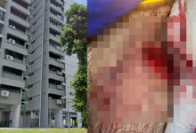 Albania to shut down tiktok for a year over violence bullying