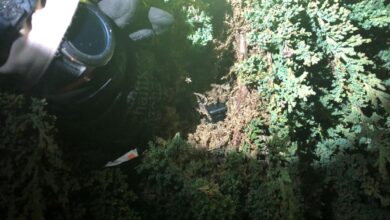 Driver held in fatal collision with pedestrian in hayward