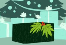 The best tips if you are giving marijuana as a gift