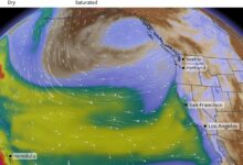 The rain is coming the rain is coming bay area braces for end of dry spell