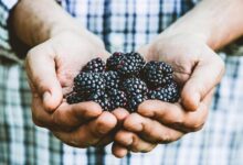 Social media for nonprofits